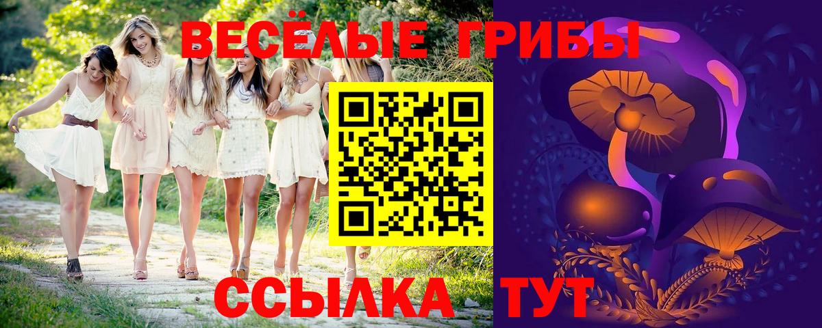 Галлюциногенные грибы мухоморы  Псилоцибиновые грибы Psilocybe  Уссурийск  купить  цена  Вход с VPN 