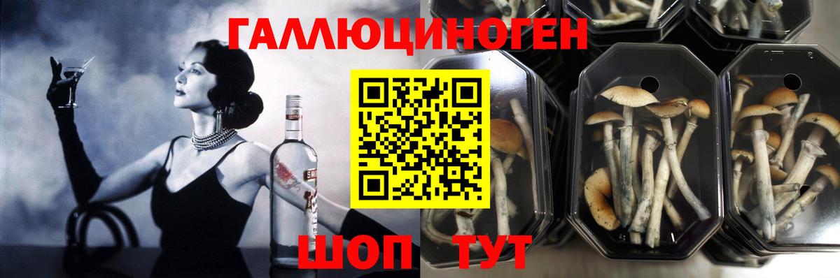 Галлюциногенные грибы GOLDEN TEACHER Уссурийск